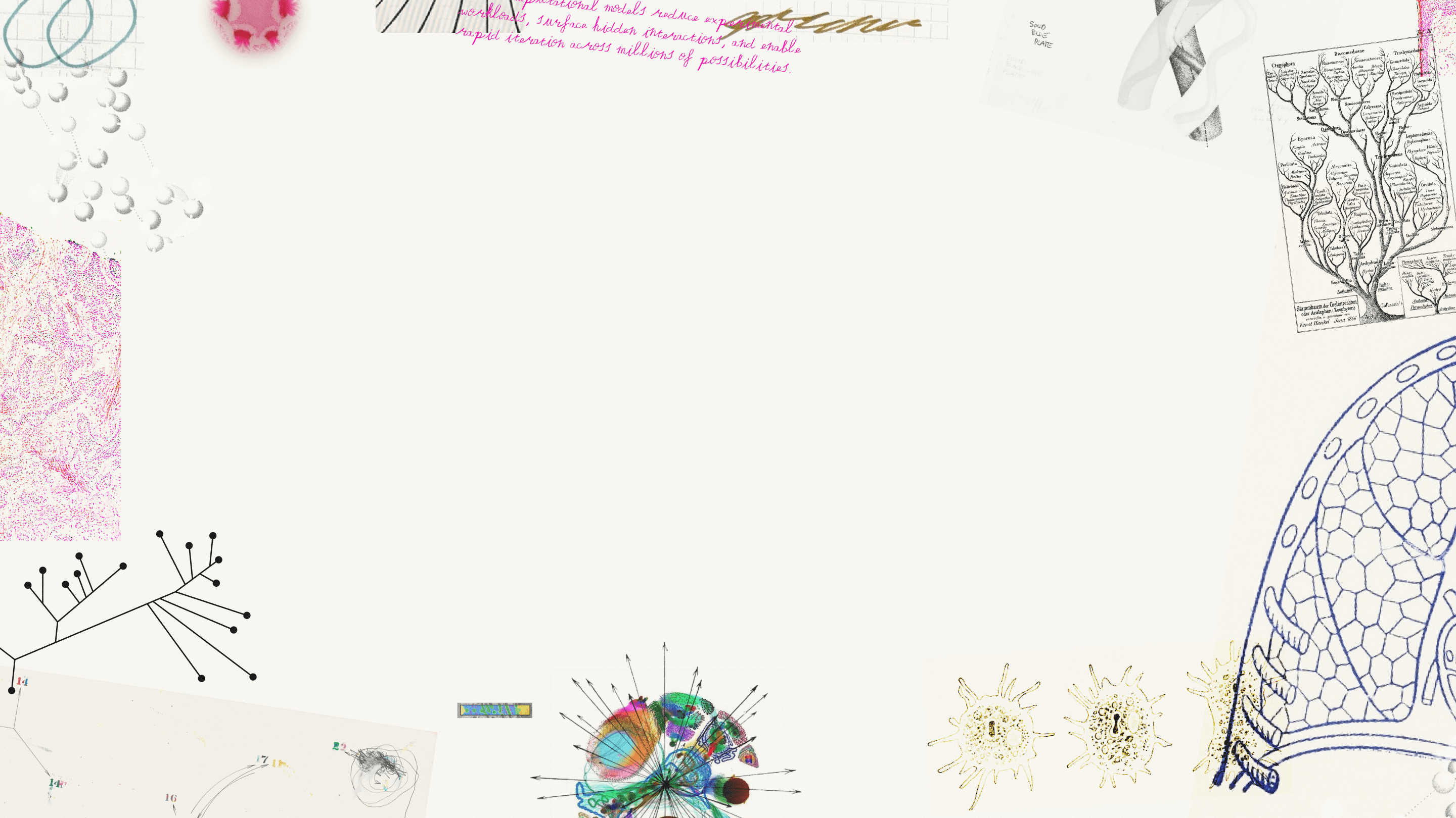 hero background desktop